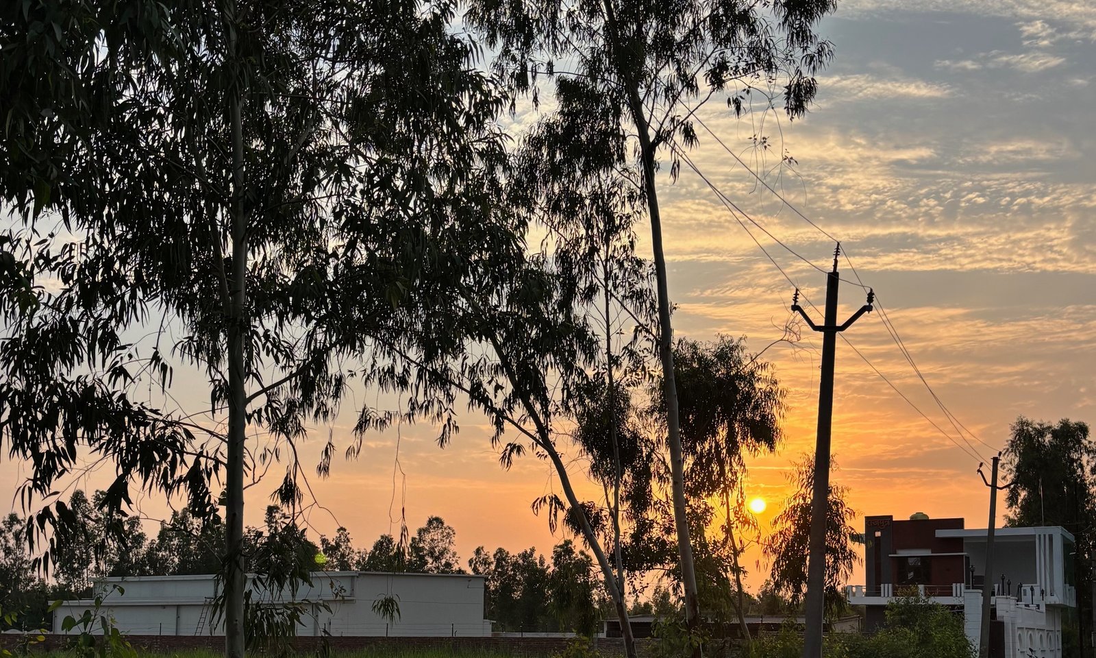 Rajputra